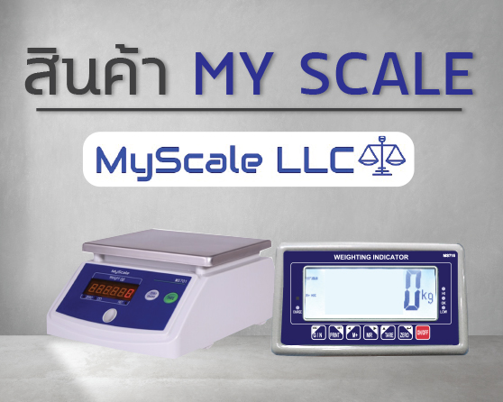 MY SCALE