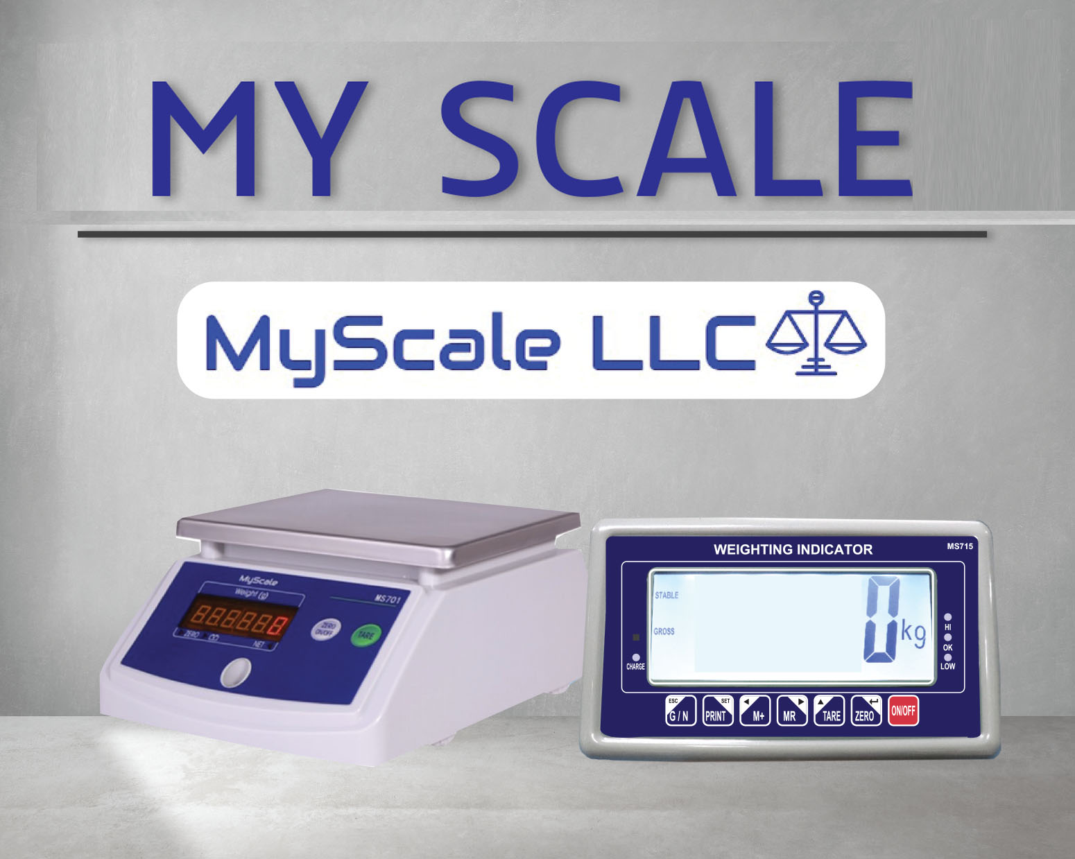 MY SCALE